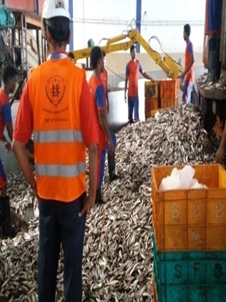 Hazard Identification & Risk Assessment