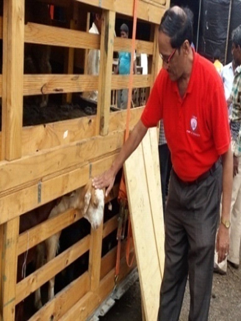 Chartered Engineering Services