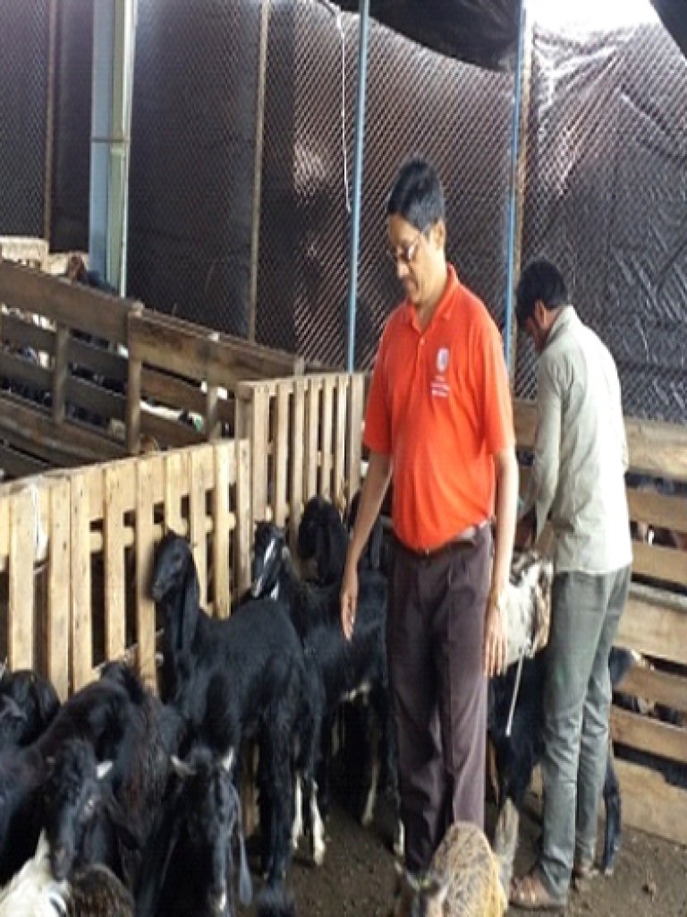 Hazard Identification & Risk Assessment