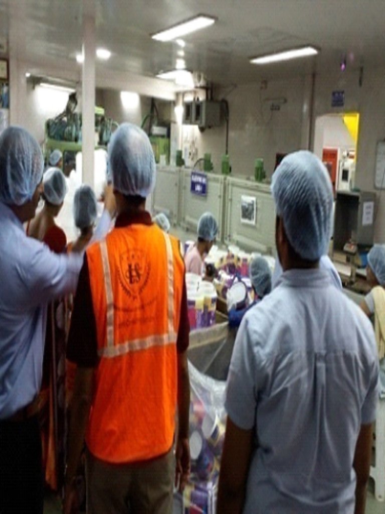 Plant & Machinery Inspection